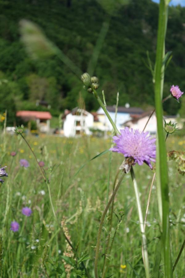 Hisa Lenart Tolmin Exterior foto