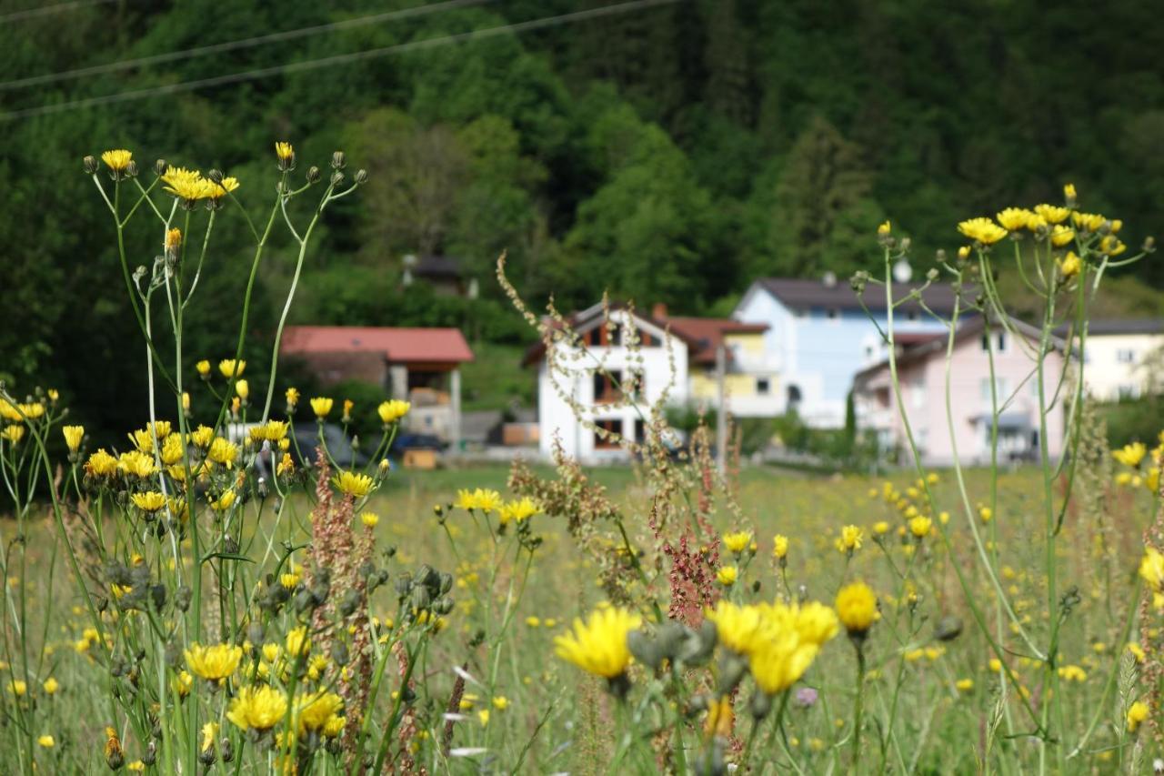 Hisa Lenart Tolmin Exterior foto